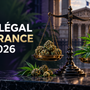 Balance de la justice entourée de fleurs de chanvre : CBD légal en France en 2026