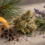 Fleur de chanvre entourée de plantes aromatiques et agrumes