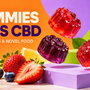 Gummies fruités colorés sur fond orange et violet : alternatives sans CBD et Novel Food en 2026