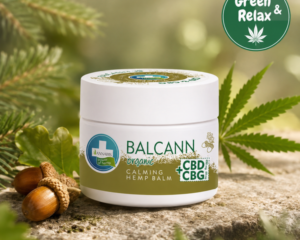 ACTIVECANN Baume biologique au chanvre Muscles et articulations