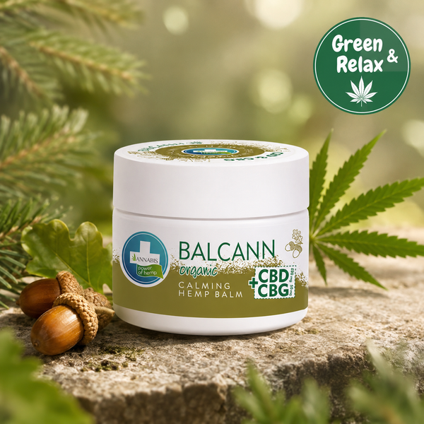ACTIVECANN Baume biologique au chanvre Muscles et articulations