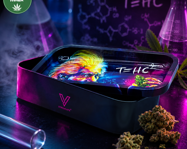 Boîte de Rangement Einstein – T = HC²