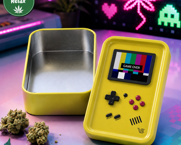 Grande Boîte de Rangement - Game Boy