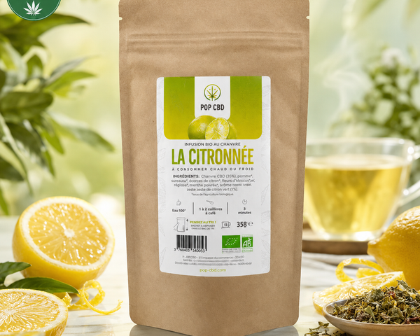 Infusions & Thés Bio Pop CBD – Saveur Citronnée