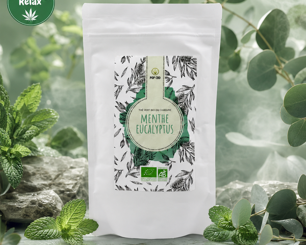 Infusions & Thés Bio Pop CBD – Menthe & Eucalyptus