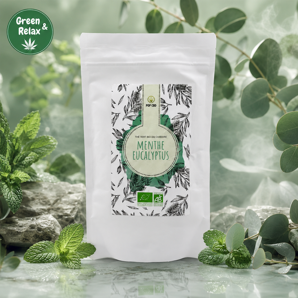 Infusions & Thés Bio Pop CBD – Menthe & Eucalyptus