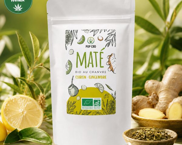 Infusions & Thés Bio Pop CBD –  Maté – Citron & Gingembre