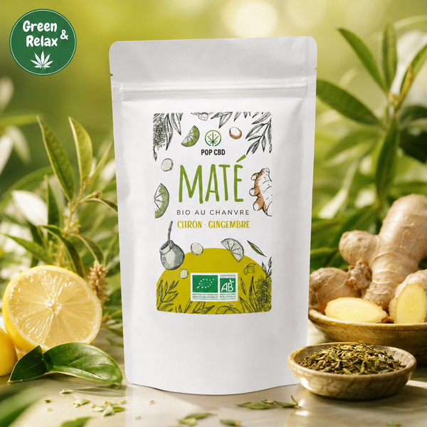 Infusions & Thés Bio Pop CBD –  Maté – Citron & Gingembre