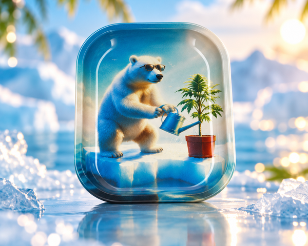 Petit Plateau Fumeur - Ours Polaire Arctic Grower