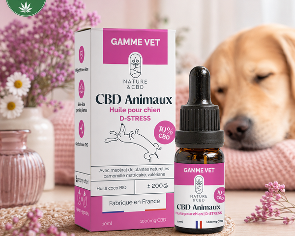 Huile CBD Chien Protect+ – Plantes & Huile de Coco BIO – 10 % CBD