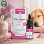 Huile CBD Chien Protect+ – Plantes & Huile de Coco BIO – 10 % CBD