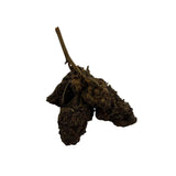 Fleurs CBD Récréative - FRUIT CAKE - 40% 10-OH - Boutique CBD Metz