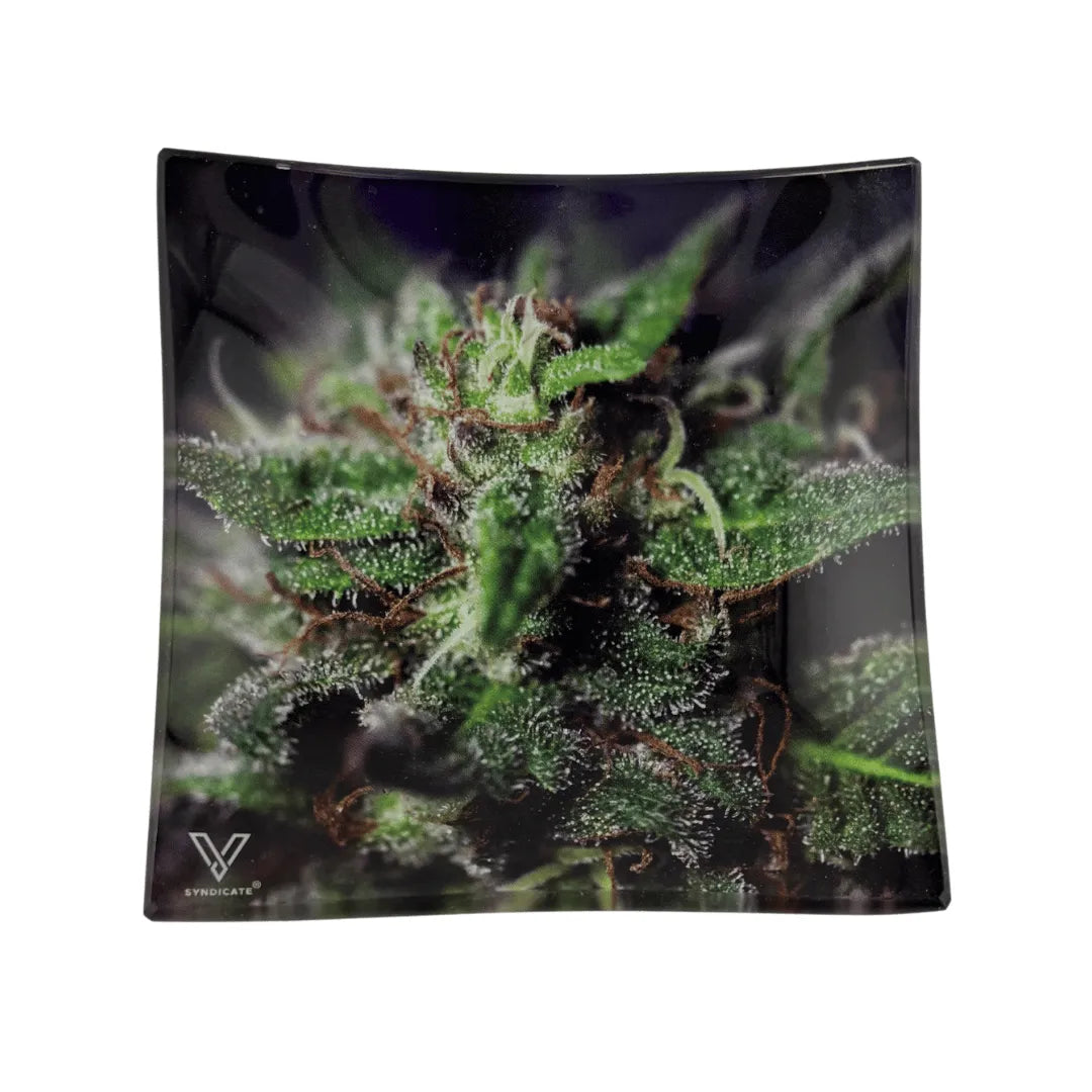 Plateau Fumeur - Macro Tête Weed - Boutique CBD Metz