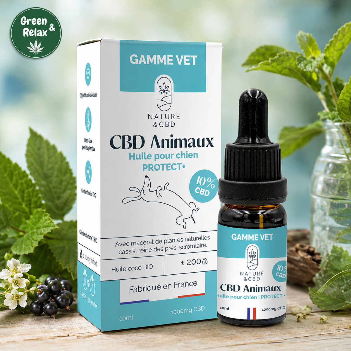 Huile CBD Chien D‑Stress – Plantes & Huile de Coco BIO – 10 % CBD