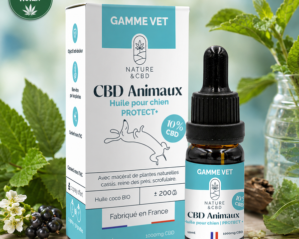 Huile CBD Chien D‑Stress – Plantes & Huile de Coco BIO – 10 % CBD